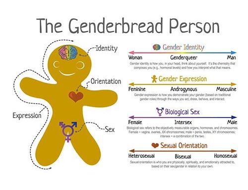 Gender, Sex, and Sexual Orientation